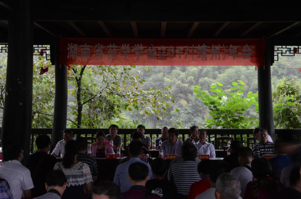 研讨会现场